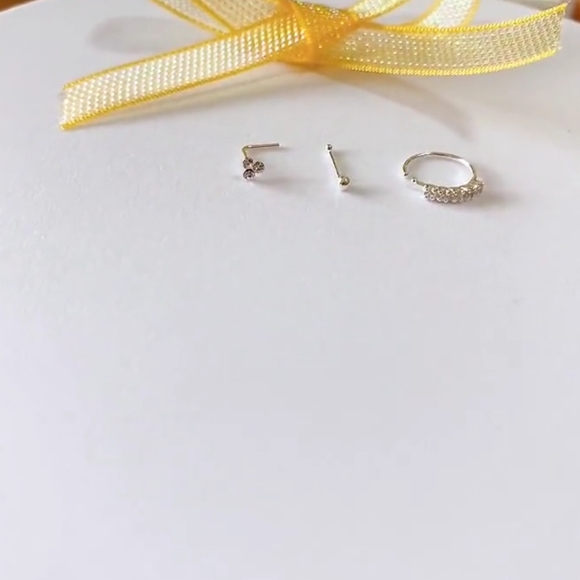 3 Nose Rings - Picture 3 of 7